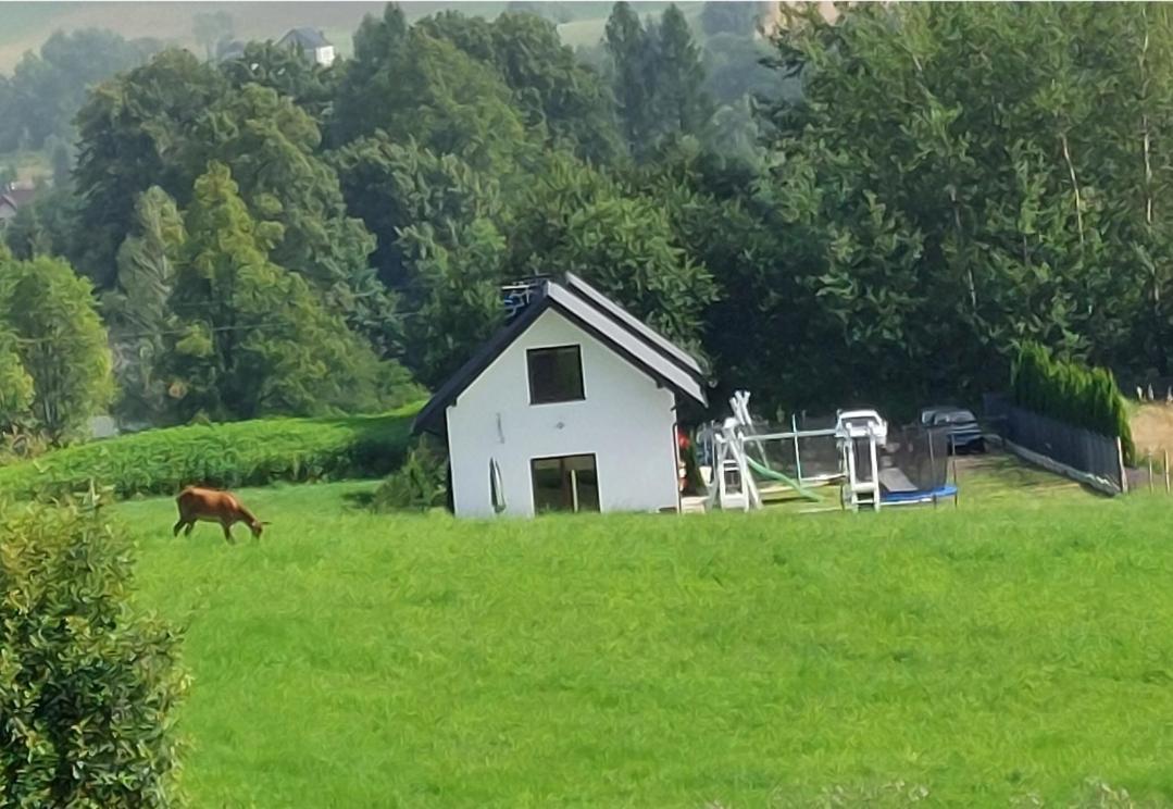 Domek Pod Holica 2 Bieszczady Ustrzyki Dolne Extérieur photo